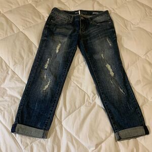 SPECIAL A, Boyfriend Capri, near new condition, very cute detail, cotton/spandex